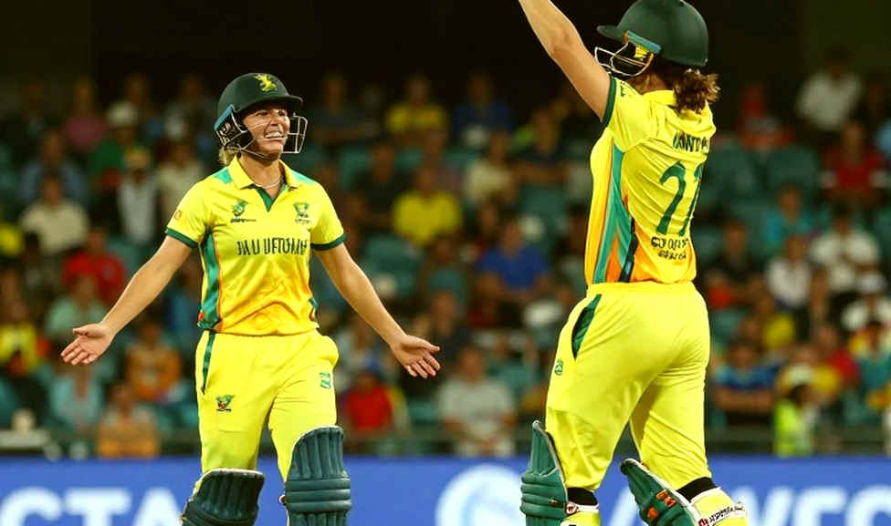 খালি ফিড, ভরা নোটবুক: ক্রিকেট ডেটা যাচাইয়ের লেজার-পাঠ