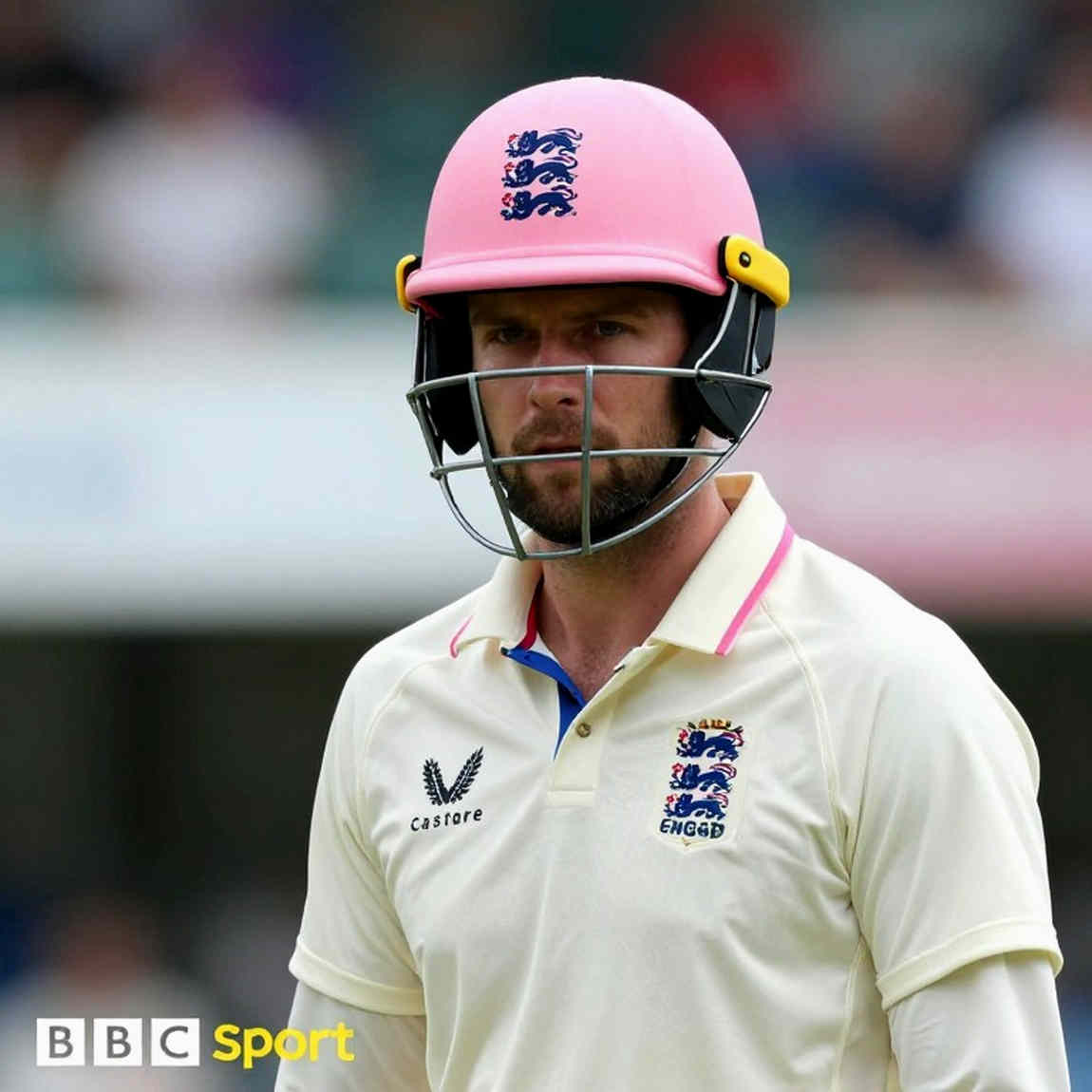 The Empty Block: A Lesson in Honesty on the Cricket Analysis Chain The Empty Block: A Lesson in Honesty on the Cricket Analysis Chain